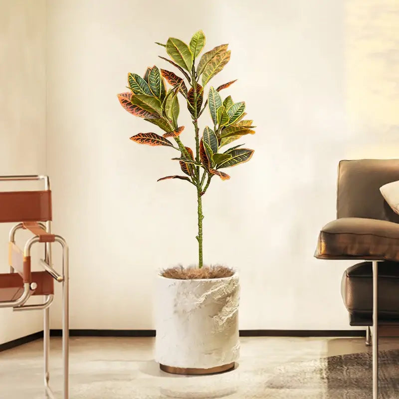 Premium Ficus Verde Ricaly | Árvore Artificial | em vasos cróton planta Jardinagem Compre