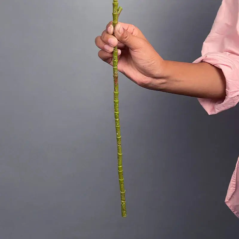 Premium Ficus Verde Ricaly | Árvore Artificial | verde bambu talo Jardinagem Compre