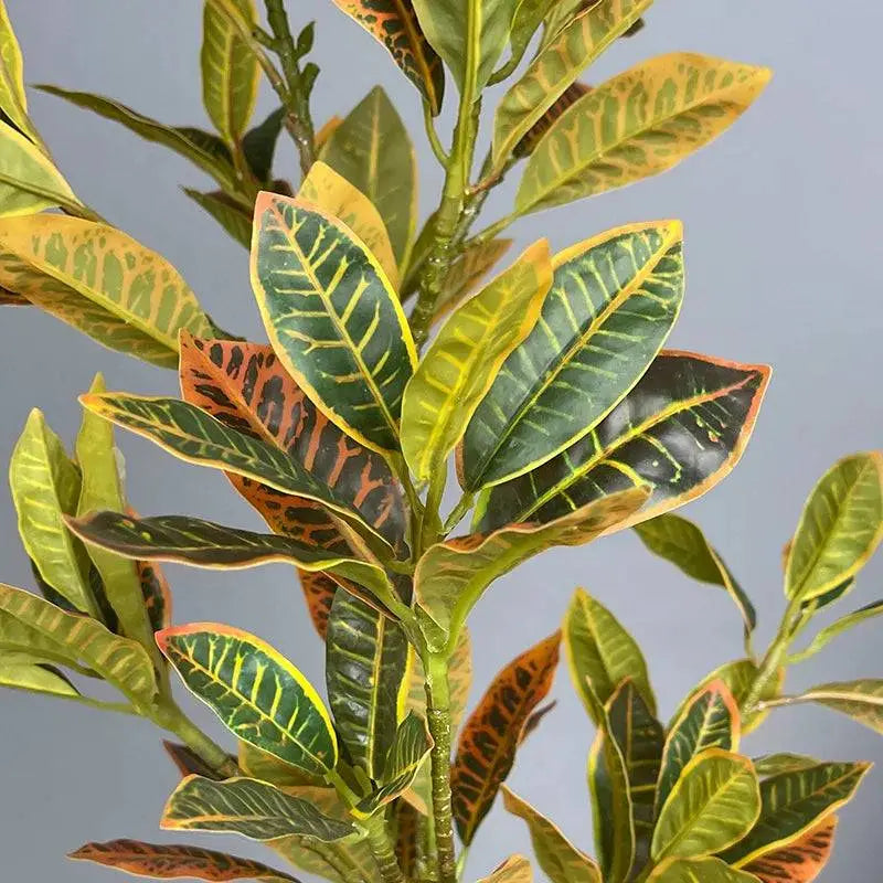 Premium Ficus Verde Ricaly | Árvore Artificial | variegado cróton planta Jardinagem Compre