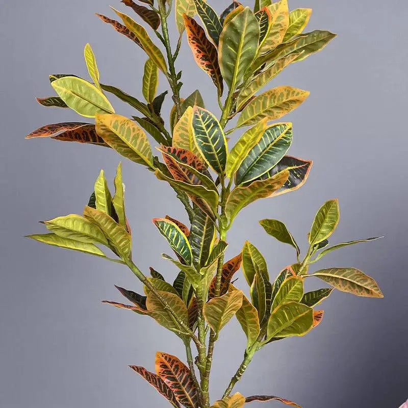 Premium Ficus Verde Ricaly | Árvore Artificial | variegado cróton planta Jardinagem Compre