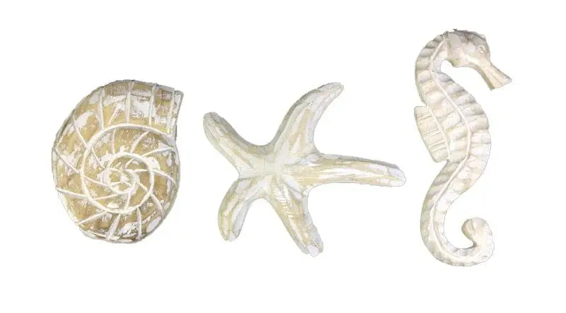 Decoração de mesa em Madeira com estrela do mar, concha e cavalo-marinho artesanal