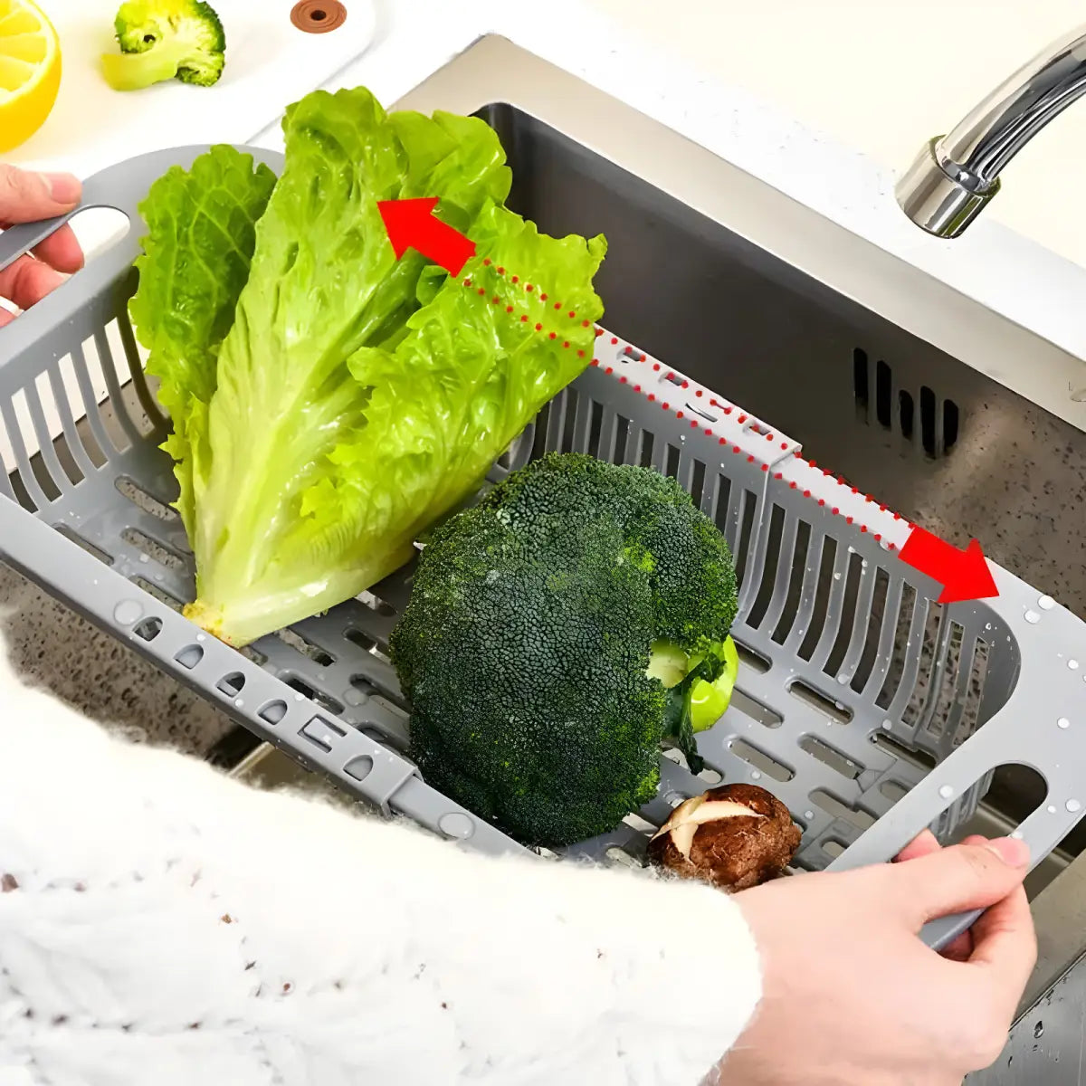 Escorredor Expansível Ricaly | Frete Grátis e 5% OFF expansível pia escorredor Organizadores para Cozinha Compre