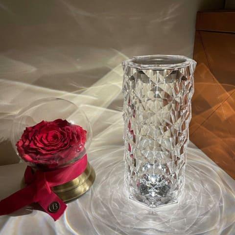 Ricaly Rose™ Premium Wireless 3-16 Color LED Table Lamp 