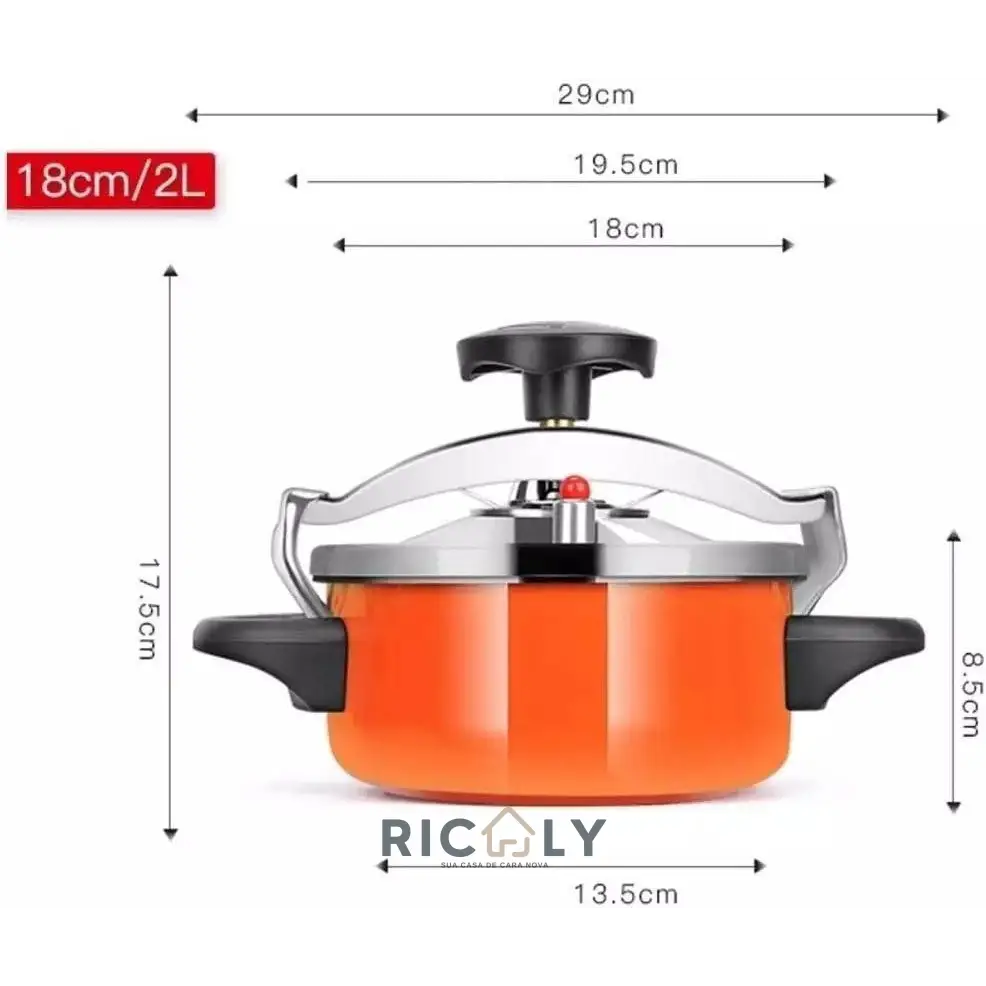 Panela de Pressão Mini à Prova de Explosão Ricaly