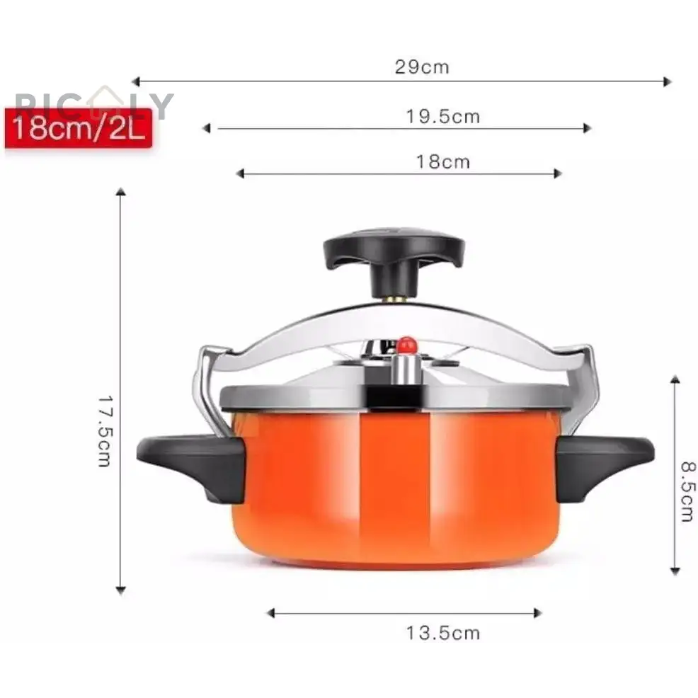 Panela de Pressão Mini à Prova de Explosão Ricaly