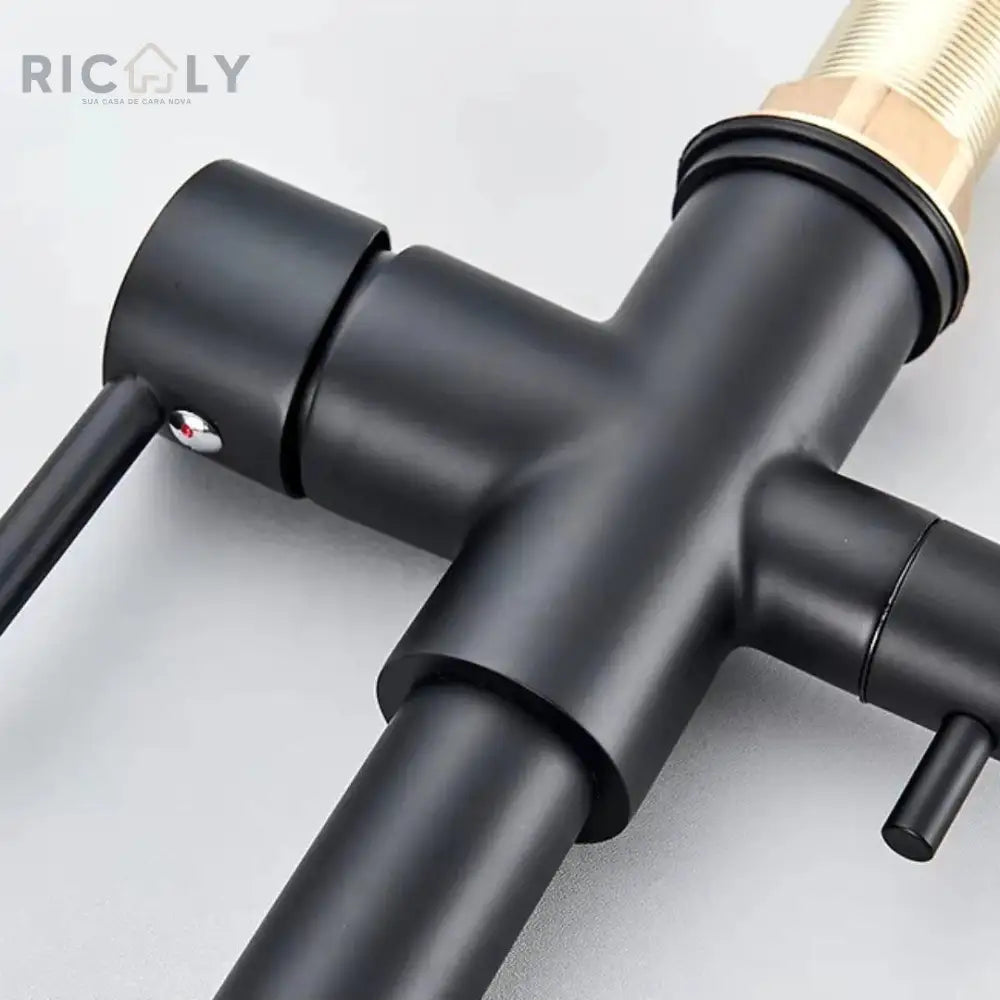 Ricaly: Torneira de Cozinha Gourmet Monocomando com Filtro - Estilo e Praticidade para Seu Lar - Torneira de Cozinha