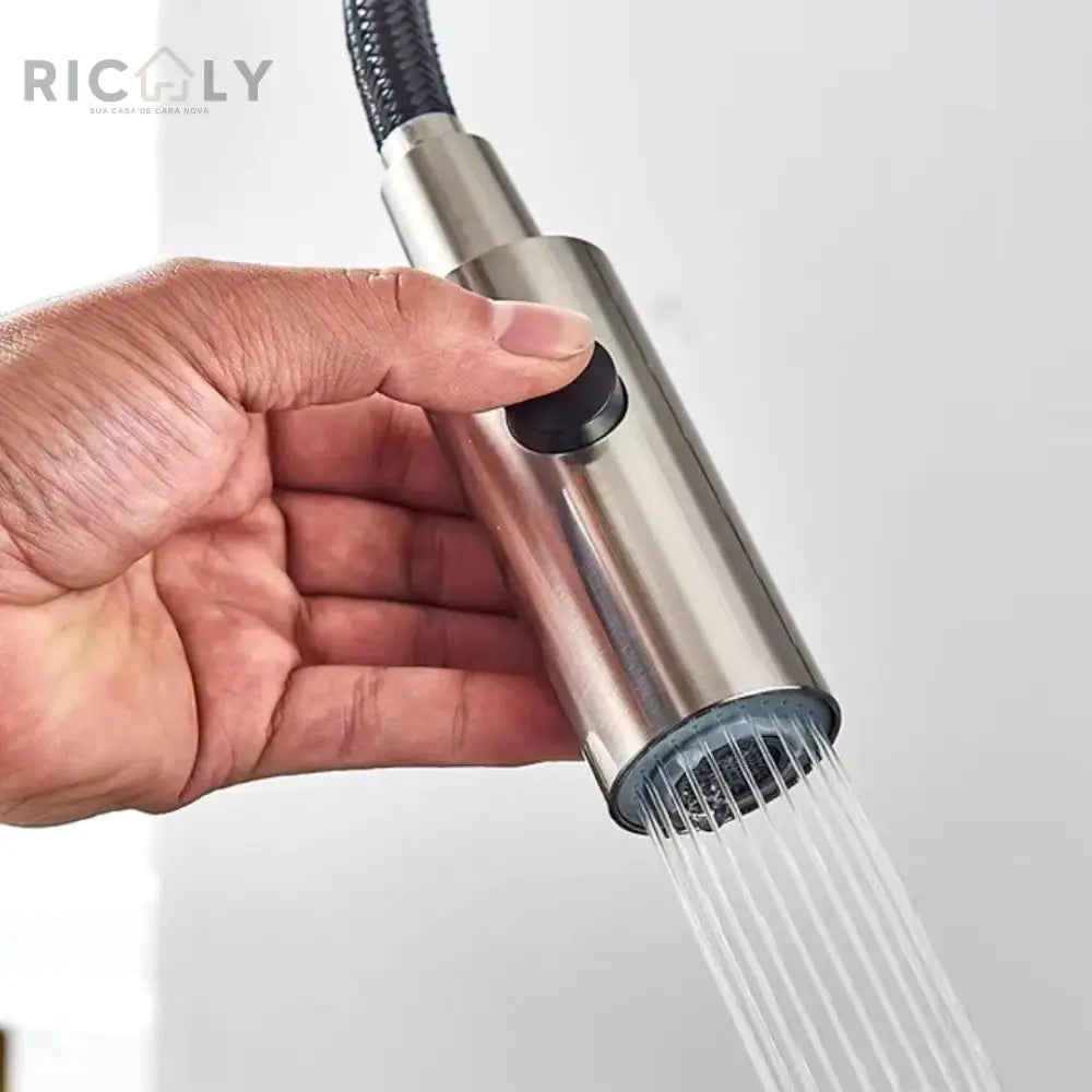 Ricaly: Torneira de Cozinha Gourmet Monocomando com Filtro - Estilo e Praticidade para Seu Lar - Torneira de Cozinha