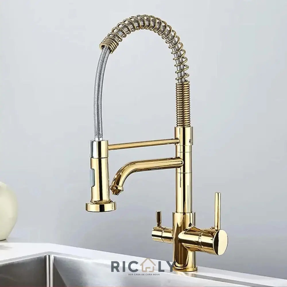 Ricaly: Torneira Gourmet Monocomando com Filtro - Estilo e Praticidade para Sua Cozinha - Dourado Brilhante - Torneira