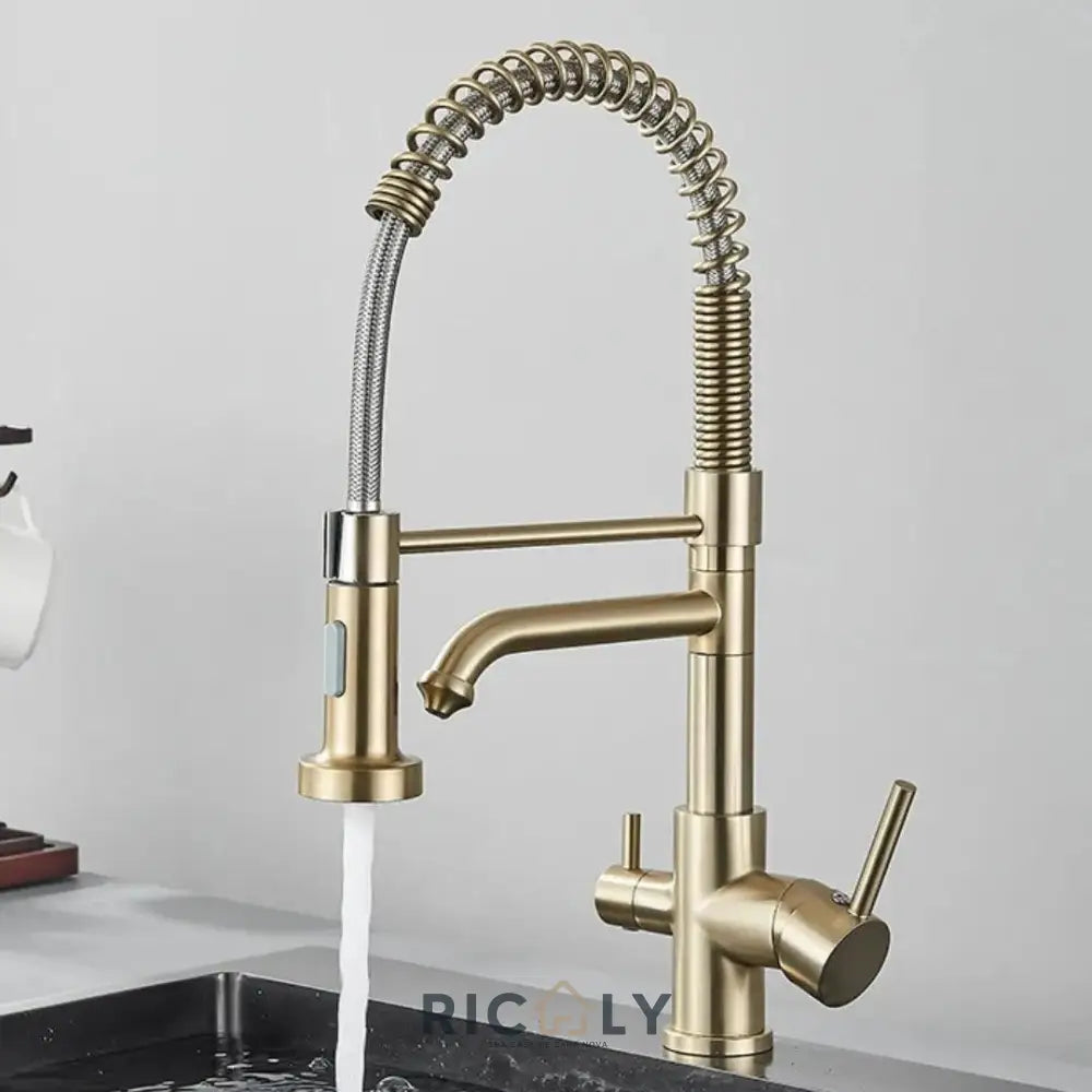 Ricaly Torneira Gourmet Monocomando com Filtro Neptunus - Elegância e Praticidade para Sua Cozinha - Dourado Escovado