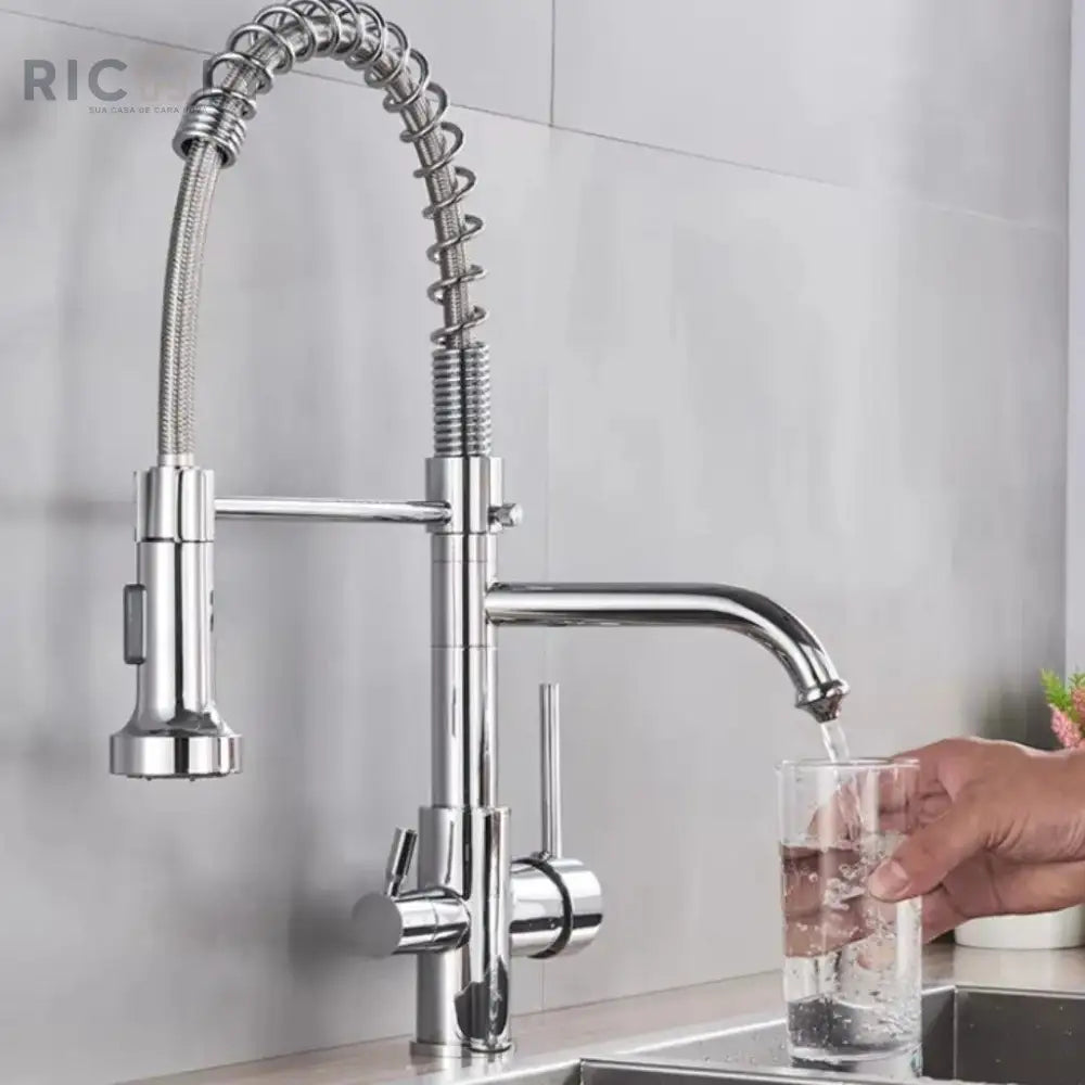 Ricaly Torneira Gourmet Monocomando com Filtro Neptunus - Elegância e Praticidade para Sua Cozinha - Torneira de Cozinha