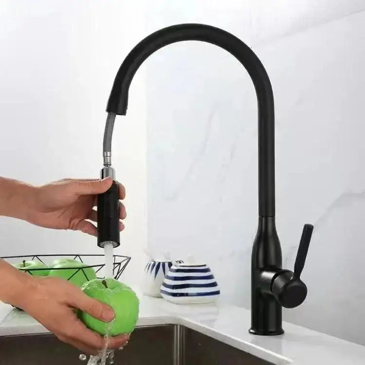 Torneira Gourmet Monocomando Ricaly com Jato Extensível - Elegância e Praticidade para sua Cozinha - Preto - Torneira